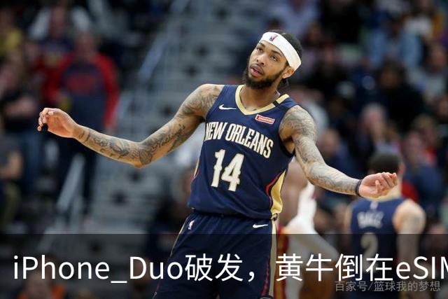 iPhone Duo破发，黄牛倒在eSIM